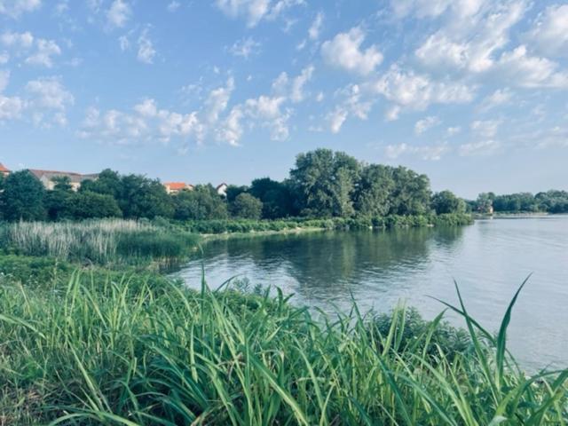 Sobe Djurdjevic Otel Zatonje Dış mekan fotoğraf
